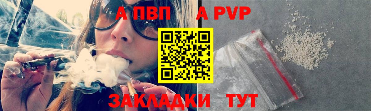 Alfa_PVP СК Бийск