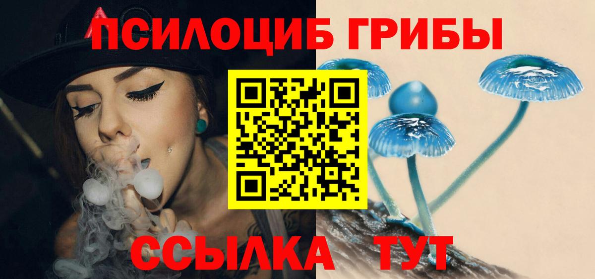 Галлюциногенные грибы прущие грибы  дарнет шоп  Бийск  Вход с VPN 